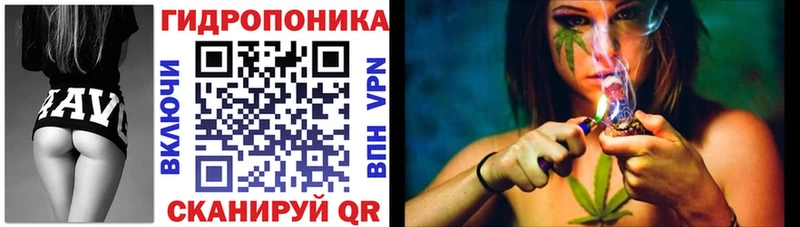 сколько стоит  Салаир  Шишки марихуана SATIVA & INDICA 
